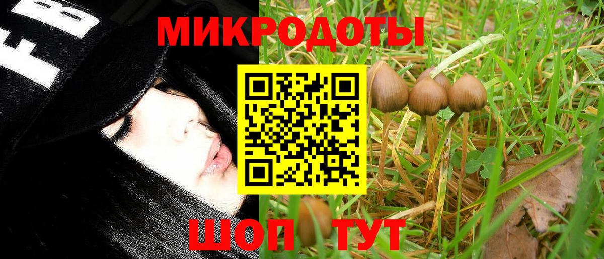 Псилоцибиновые грибы MAGIC MUSHROOMS  Вход с VPN  Вышний Волочёк  Псилоцибиновые грибы Magic Shrooms 